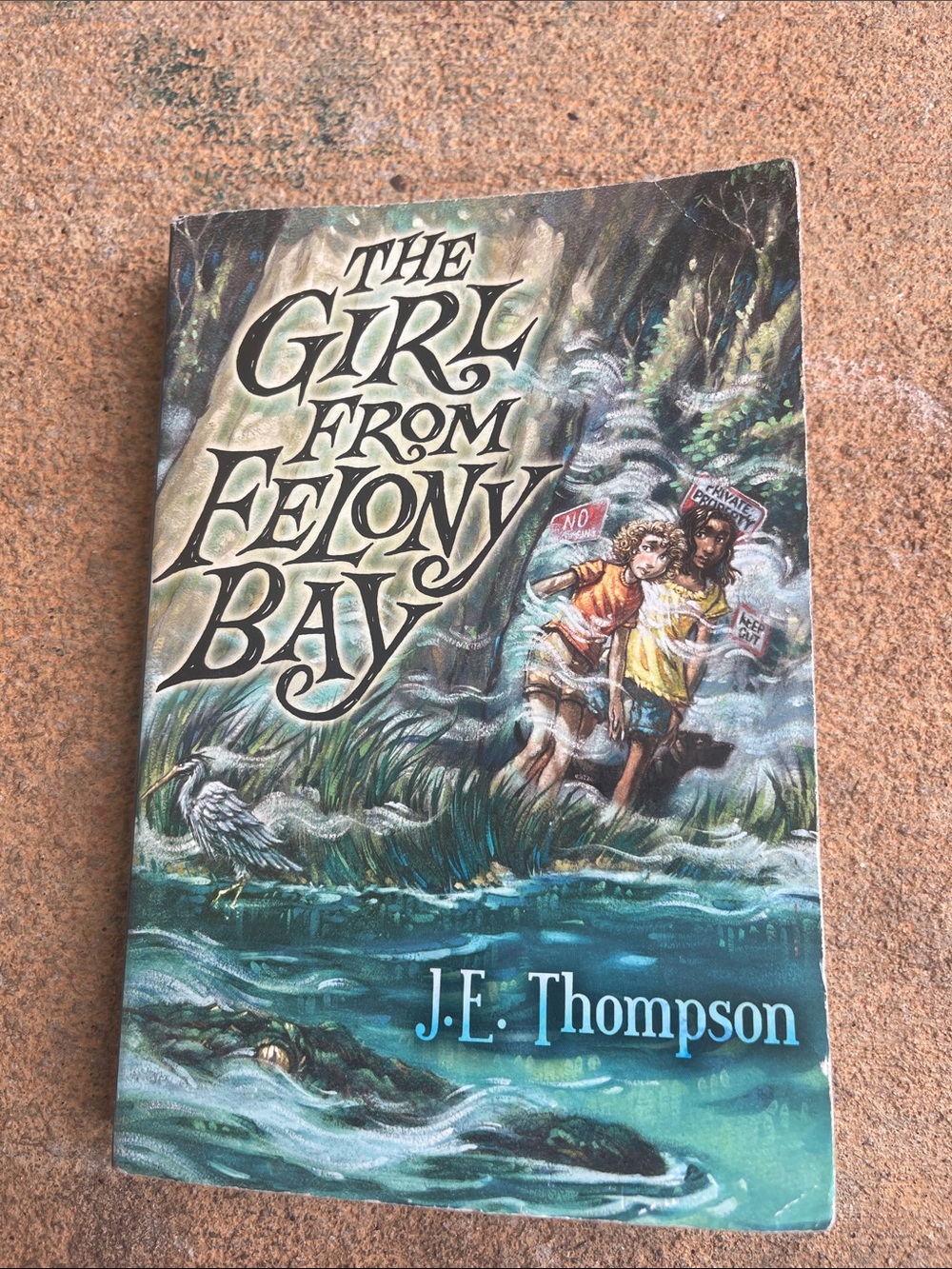 Children's Mystery Paperback - Dark Teal/Blue Back Cover
